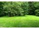View of lush green backyard featuring a well-maintained lawn surrounded by mature trees at 6190 Red Day Rd, Martinsville, IN 46151