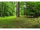A beautiful backyard with lush green lawn and mature trees creating a serene atmosphere at 6190 Red Day Rd, Martinsville, IN 46151