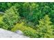 Backyard aerial view with mature trees and landscaping at 10965 Fairway Ridge Ln, Fishers, IN 46037