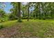 View of the property's spacious backyard surrounded by mature trees at 3614 N Whittier Pl, Indianapolis, IN 46218