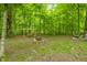 Enjoy a wooded lot with a swing, picnic table and fire pit for roasting marshmallows under the stars at 5858 N West Shore Dr, Morgantown, IN 46160