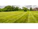 Expansive green backyard with neatly mowed lawn, providing ample space for outdoor activities at 6307 Keeneland Ct, Indianapolis, IN 46278