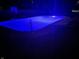Backyard swimming pool lit in blue at night, creating a peaceful and inviting atmosphere at 7935 N County Road 650 E, Brownsburg, IN 46112