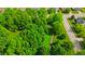 Birds eye view of the green trees and walking path in the neighborhood at 9833 Parkshore Dr, Fishers, IN 46038
