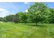 Expansive backyard featuring mature trees providing shade and privacy, perfect for outdoor activities and relaxation at 1905 Persimmon Grove Dr, Indianapolis, IN 46234