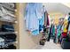 Organized walk-in closet with shelves and hanging racks offers ample storage space for clothes and accessories at 1905 Persimmon Grove Dr, Indianapolis, IN 46234