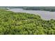 Aerial view of lush green forest meeting the tranquil lake at 7426 Shadow Wood Dr, Indianapolis, IN 46254