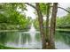 Scenic view of a pond with a fountain and mature trees surrounding the area at 131 Olde Mill Bay, Indianapolis, IN 46260