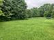 A sprawling green backyard, perfect for outdoor activities, surrounded by lush trees at 18229 Moontown Rd, Noblesville, IN 46062