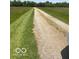 Gravel driveway passing through a lush field, showcasing a peaceful, rural setting at 622 S Washington St, Morristown, IN 46161