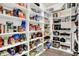 Well-stocked pantry with ample shelving providing plenty of storage for kitchen essentials at 916 Settlers Walk, Brownsburg, IN 46112