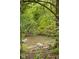 Serene creek with clear water flowing over rocks, surrounded by lush vegetation at 9601 Irishmans Run Ln, Zionsville, IN 46077