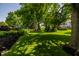 Spacious backyard featuring a well-maintained lawn, mature trees, and meticulous landscaping at 14149 Ledgewood Way, Carmel, IN 46032