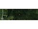 Secluded wooded acreage perfect for building your dream home or enjoying nature's tranquility at 3587 Lower Patton Park Rd, Martinsville, IN 46151