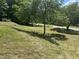Inviting front lawn with lush greenery and mature trees, creating a picturesque landscape and tranquil ambiance at 3587 Lower Patton Park Rd, Martinsville, IN 46151