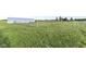 A white greenhouse stands in a large green yard with grass surrounded by a wire fence and greenery in the distance at 3840 W 38Th St, Anderson, IN 46011