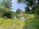Scenic pond view with a house visible in the distance, framed by lush green trees and grass at 4566 Melbourne Rd, Indianapolis, IN 46228
