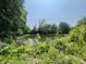 A calm pond reflecting trees, with lush green foliage surrounding the banks at 4566 Melbourne Rd, Indianapolis, IN 46228