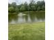 Picturesque pond featuring a fountain and surrounded by manicured lawn and mature trees at 4642 Big Run Ct, Indianapolis, IN 46239