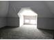 An attic space with ample natural light, neutral walls, and comfortable carpeting at 509 Shelby St, Shelbyville, IN 46176