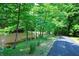 Scenic view of a tree-lined driveway alongside a serene pond, enhancing the property's natural beauty at 5654 Paradise Dr, Martinsville, IN 46151