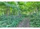 Lush wooded land, perfect for nature lovers at 5710 W 650 N, Thorntown, IN 46071