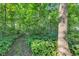 Lush wooded land with a winding path to the property at 5710 W 650 N, Thorntown, IN 46071