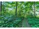 Lush wooded land, perfect for nature lovers at 5710 W 650 N, Thorntown, IN 46071