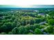A picturesque aerial view of a lush neighborhood with mature trees and well-maintained homes at 11510 Ralston Ave, Carmel, IN 46032