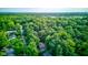 Tree canopy covers many residential houses at 11510 Ralston Ave, Carmel, IN 46032
