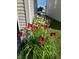Vibrant red lilies and daisies adorn the side of the house, adding curb appeal at 12671 Endurance Dr, Fishers, IN 46037