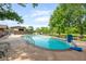 The backyard pool is surrounded by chairs and luscious trees at 15812 Joliet Rd, Westfield, IN 46074