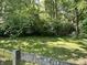 Landscaped backyard with mature trees, lush greenery, and a rustic fence offering a tranquil outdoor setting at 177 Wellington Pkwy, Noblesville, IN 46060