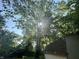 Backyard with a mature shade tree and verdant foliage at 177 Wellington Pkwy, Noblesville, IN 46060