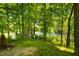Scenic view of the backyard and lake through lush trees, offering a peaceful and serene setting at 2805 Fox E Ct, Martinsville, IN 46151