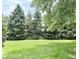 Lush green lawn surrounded by tall evergreen trees, providing privacy and a natural backdrop at 7042 Gavin Dr, Indianapolis, IN 46217