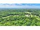 Wide aerial view showcasing a private, wooded neighborhood with lush greenery and scattered residences at 7074 E Pine Needle Ln, Morgantown, IN 46160