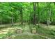 Landscaped backyard with brick path and mature trees, creating a serene and inviting outdoor space at 7074 E Pine Needle Ln, Morgantown, IN 46160