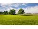 Expansive green pasture with mature trees and classic wooden fencing at 11823 E 200 S, Zionsville, IN 46077