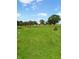A expansive lawn stretching across the property with several trees and a blue sky above at 2074 W 300 S, Shelbyville, IN 46176
