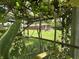 Picturesque backyard view through a vine-covered pergola, showcasing a spacious lawn at 6237 E Lynn Dr, Mooresville, IN 46158