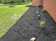 Close up of the newly installed landscaping, featuring black mulch, green grass and various plants at 6237 E Lynn Dr, Mooresville, IN 46158