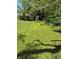 Spacious backyard with green grass at 1584 Shady Ln, Columbus, IN 47201