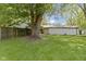 Large backyard features a mature tree, a wooden fence, and a well-maintained lawn at 255 N Pasadena Rd, Noblesville, IN 46062