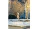 Front yard view with a deer standing on the snow, beside a leafless tree and brick home at 7212 Maple Bluff Pl, Indianapolis, IN 46236