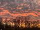 Striking sunset view featuring a dramatic sky over a silhouette of trees, evoking a sense of serenity at 7212 Maple Bluff Pl, Indianapolis, IN 46236