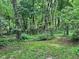Lush wooded area with mature trees and foliage, offering privacy and a natural setting at 7811 N County Road 500 E, Pittsboro, IN 46167