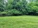 Green grassy yard with lush mature trees, offering a serene and private outdoor space at 7811 N County Road 500 E, Pittsboro, IN 46167