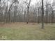 Large private backyard surrounded by mature trees, offering a serene and secluded outdoor space at 8990 N 850 W, Fairland, IN 46126
