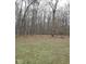 Expansive wooded backyard provides privacy and a natural setting for outdoor enjoyment at 8990 N 850 W, Fairland, IN 46126